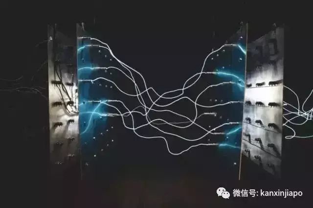 “一个月电费涨了3倍要4万新币,是逼我们关门吗?”揭秘新加坡电力市场