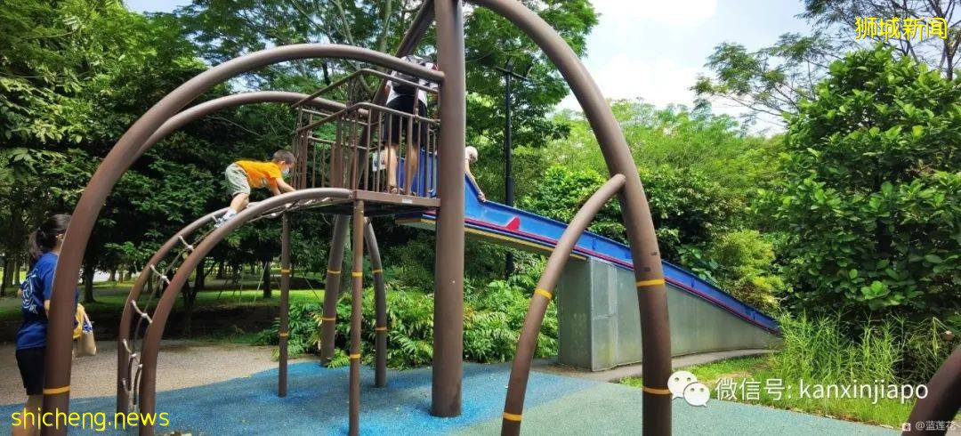 遛娃圣地海军部公园,超多大滑梯,大人孩子一起嗨