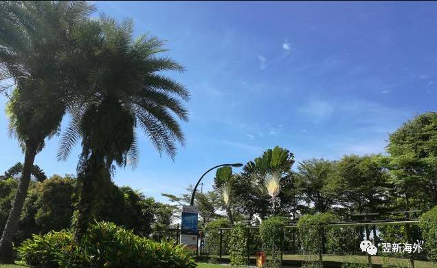 美丽的新加坡有独特魅力，国家不大，但是具有的美景可一点不少