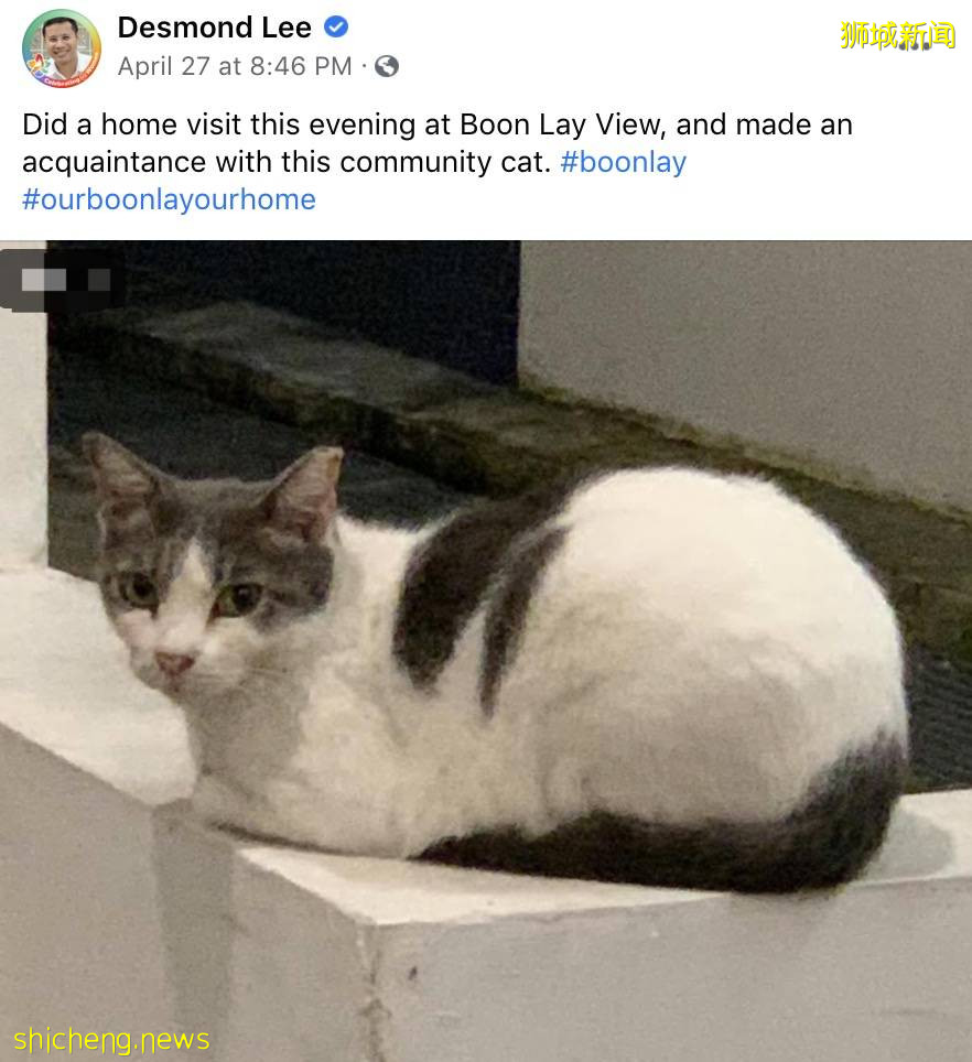 新加坡這個部長“親民值”爆表！注冊抖音賬號、自拍、曬小學證書