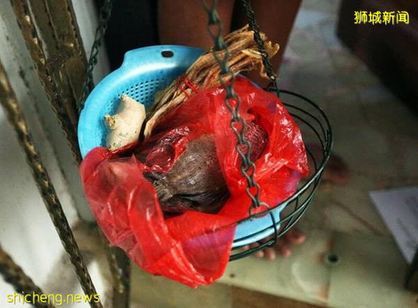 楼上晒超级臭咸鱼 楼下以为死了Baby