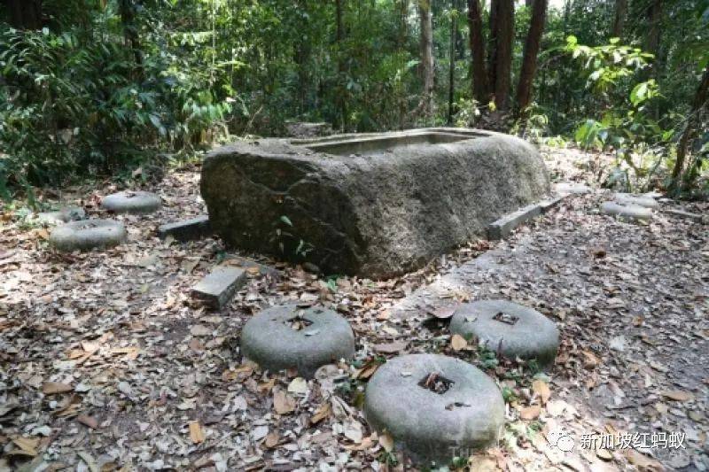 兩中學男生爲尋找日本神社遺址，在新加坡蓄水池森林迷路“神隱”
