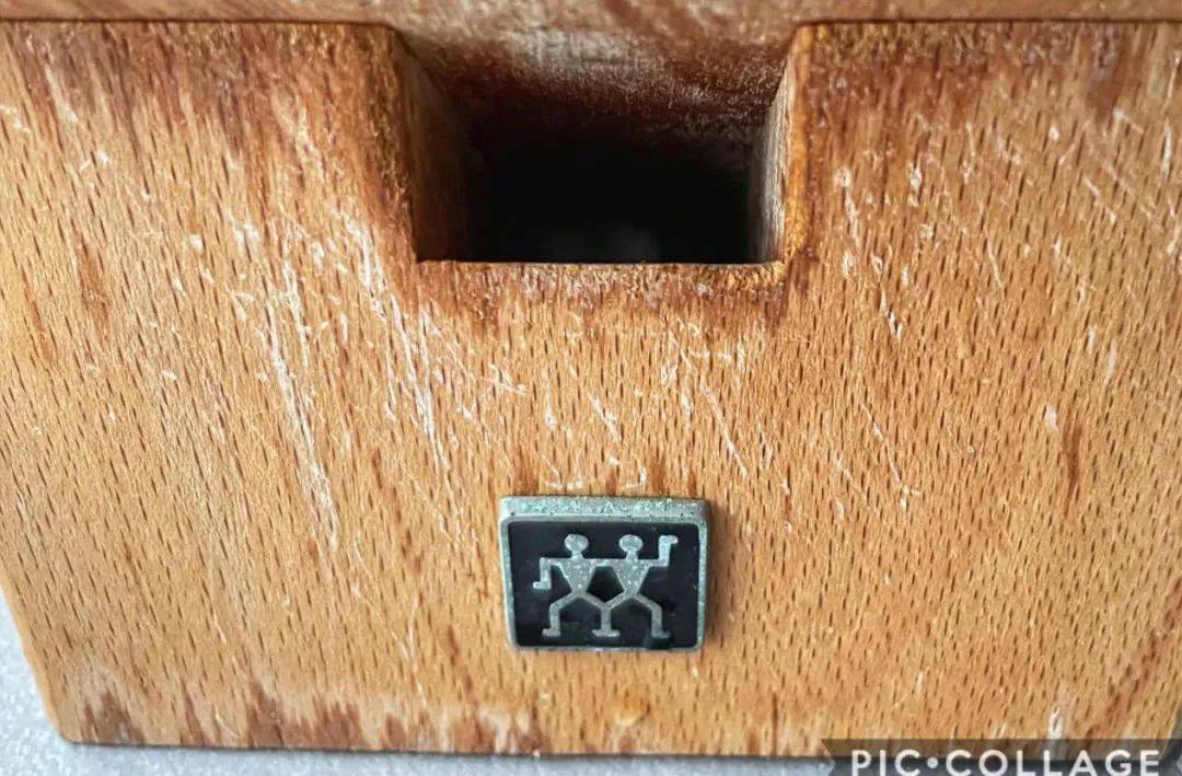 新加坡的壁虎太猛，在室內到處下蛋！你家這些地方說不定也有