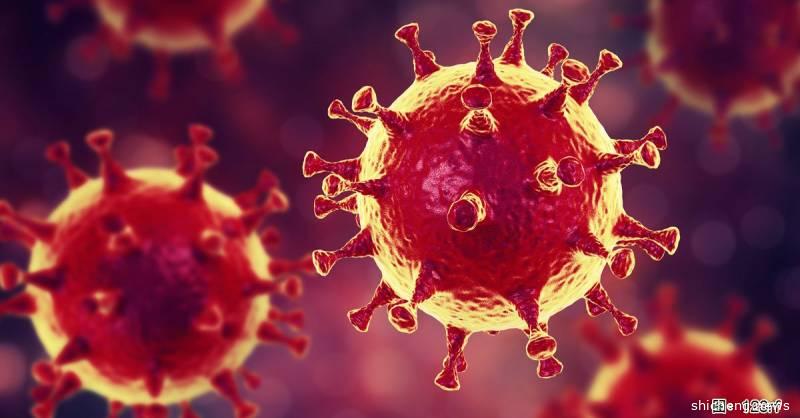 ◤新国延长CCB◢ 嗅觉味觉突失灵 无出国史妇女 确诊