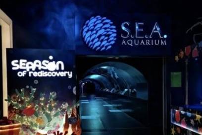 聖誕節該去哪?好吃的,好玩的統統安排