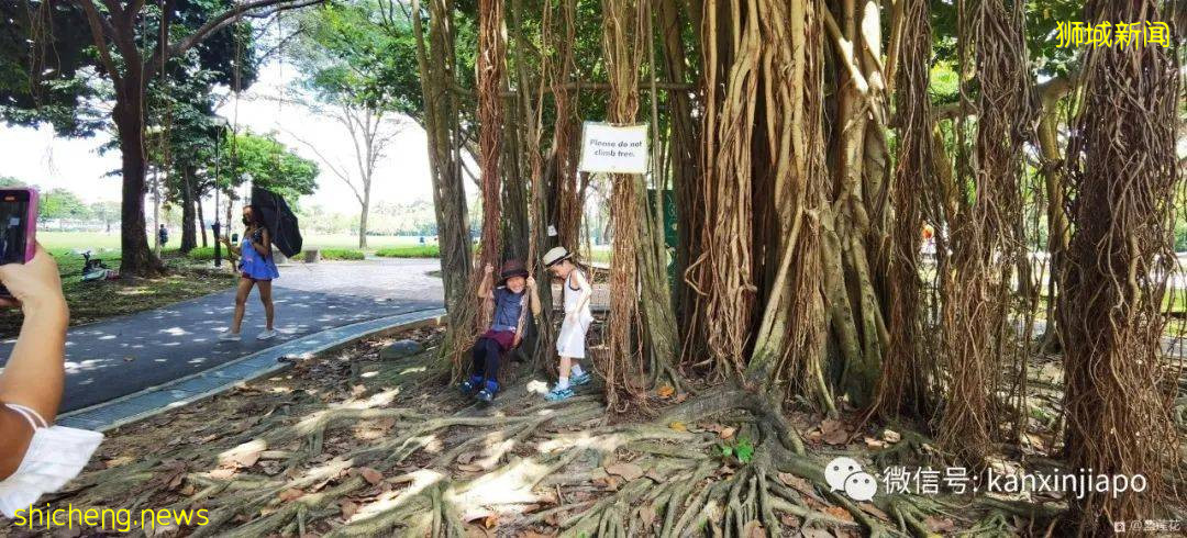 新加坡小众遛娃好去处,吃喝玩乐一应俱有