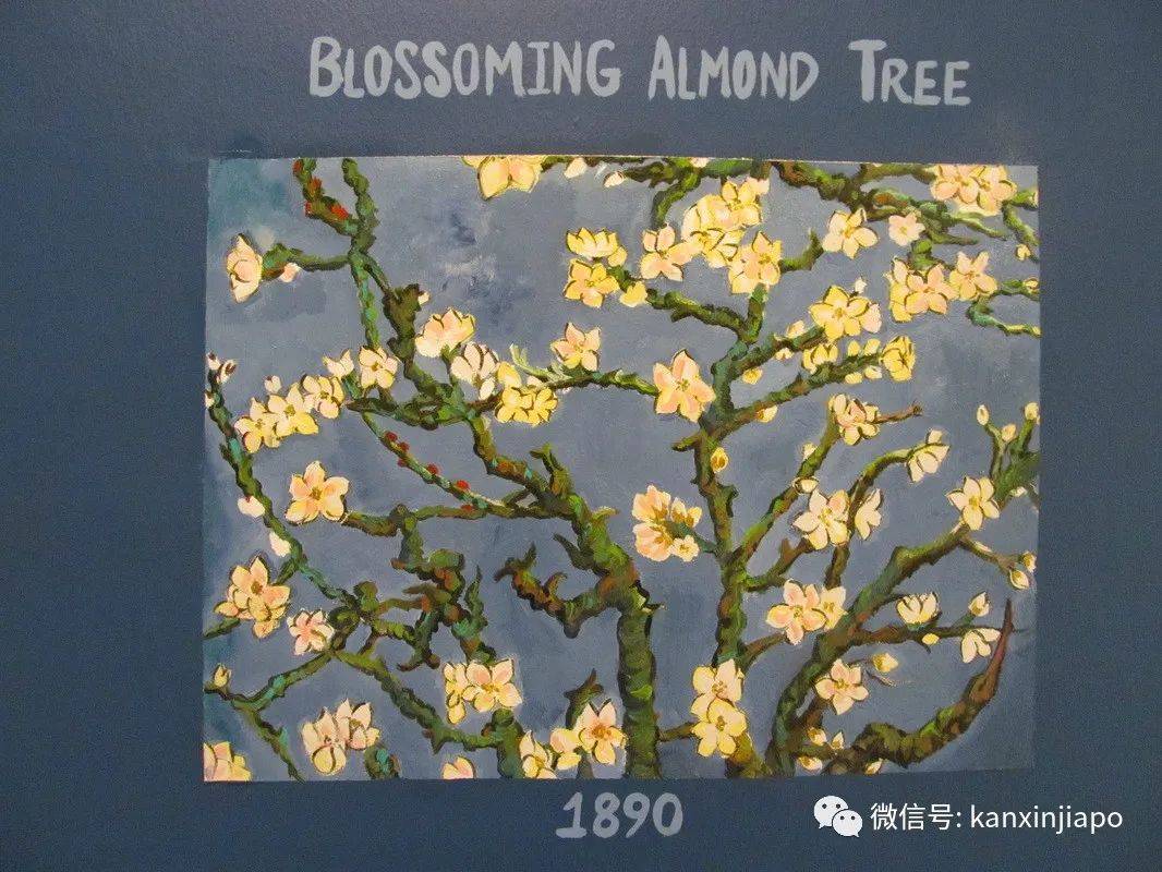 新加坡最美邻里!组屋楼下居然成了梵高画廊