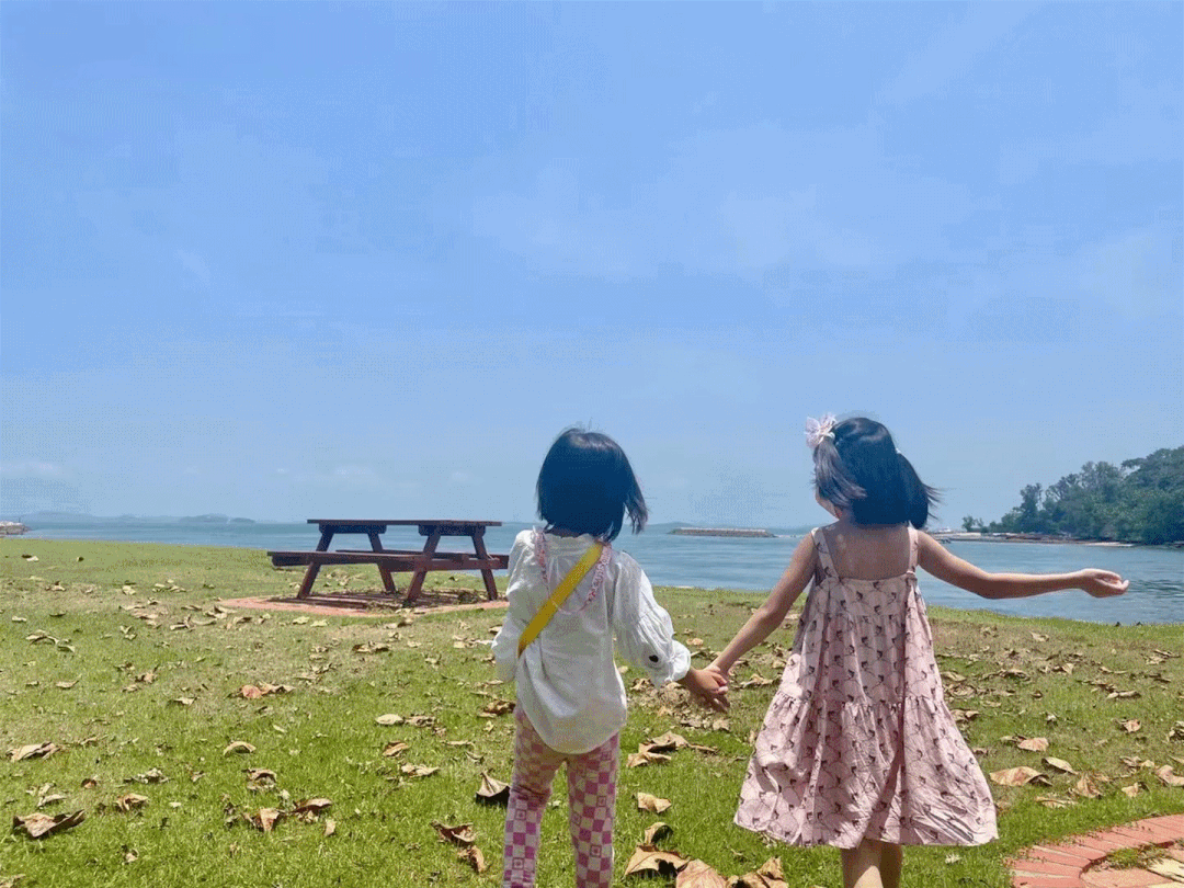 本周日！親子DIY盆栽、打卡越南網紅餐廳、了解新加坡曆史，搶位中