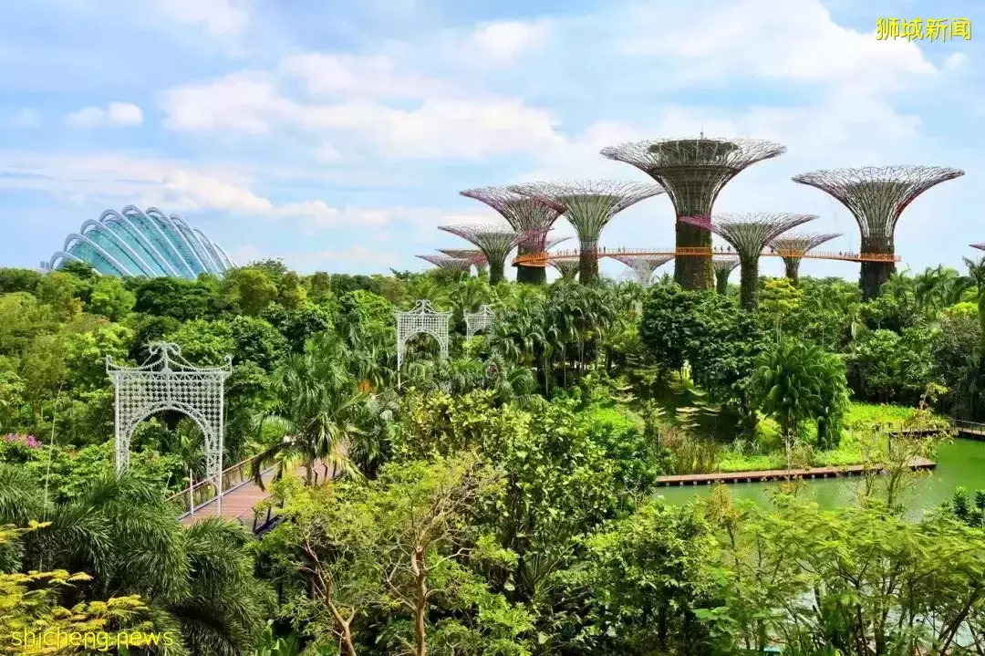 雲遊 顔值即正義！全球最夢幻的機場