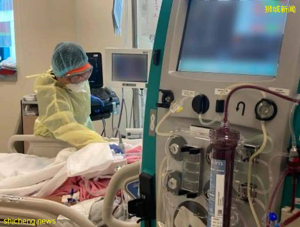 8月新加坡平均2天1例新冠死亡!打疫苗還有意義嗎