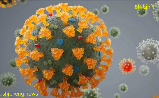 新加坡疫情爆發,普通人應該如何選擇保險