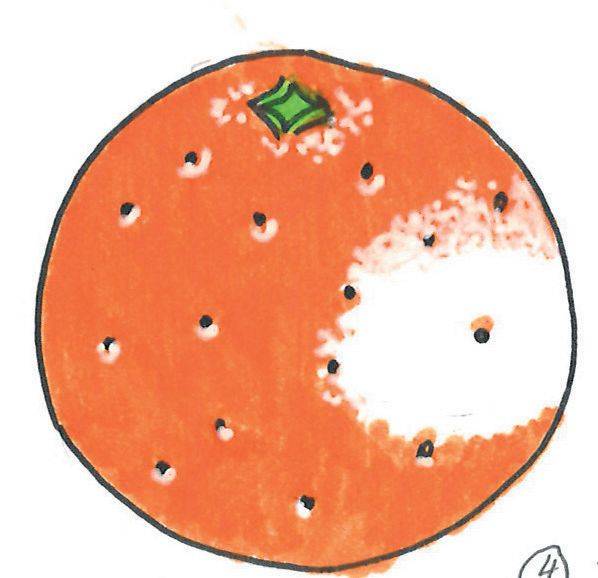 猜一猜这些地铁站名