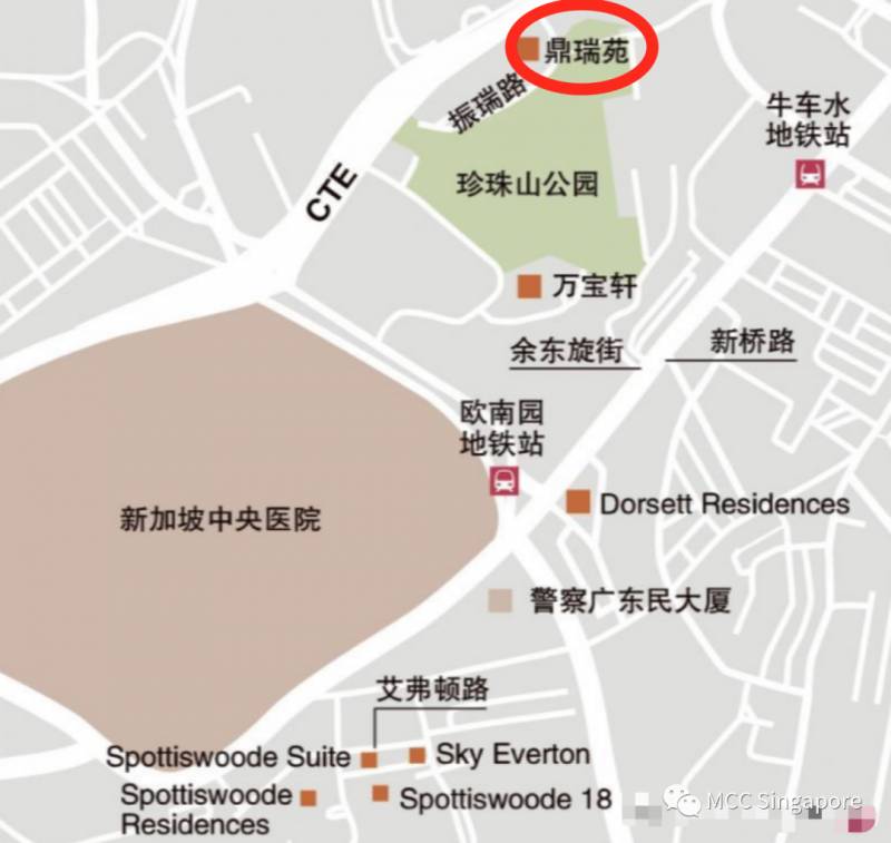 新加坡的打卡聖地“牛車水”，你真的懂它嗎