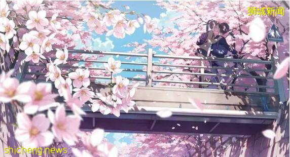 “別擔心、有我在”！新加坡小男子漢暖心神句圈粉無數!