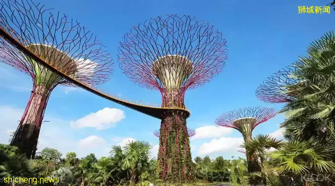 让“碳中和”城市化？亚洲最绿色城市是这么做的