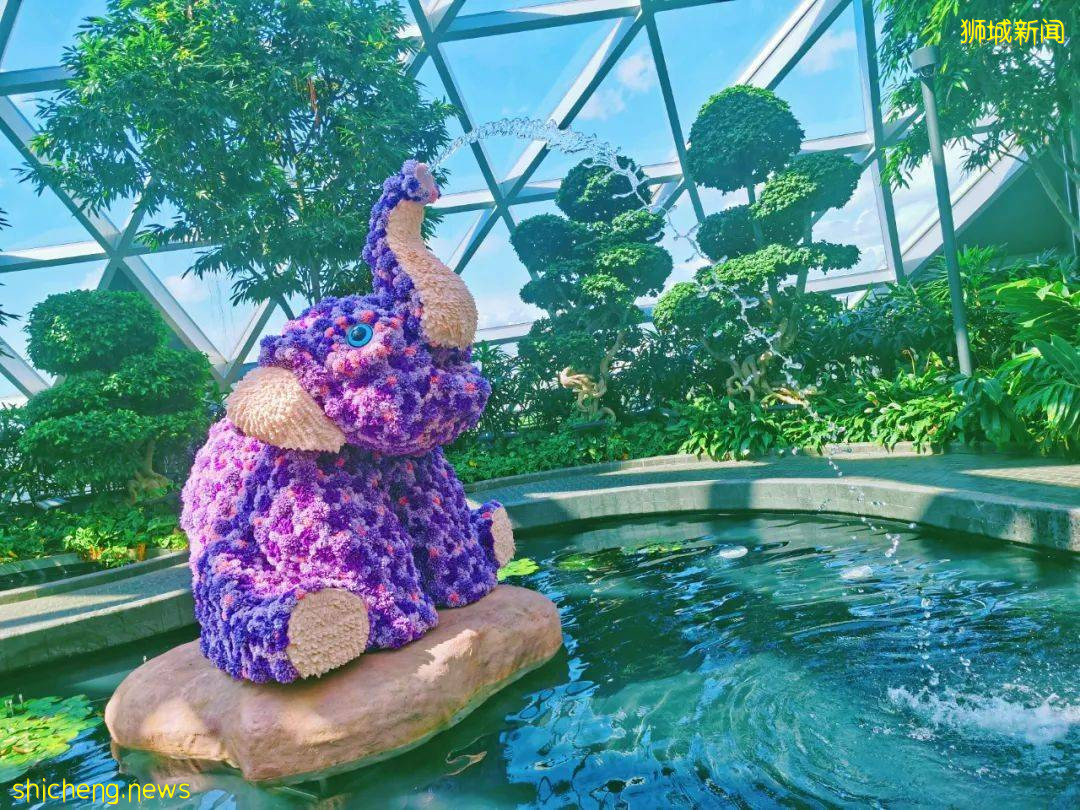 免費送票！$58就能露營機場，兩天一夜住帳篷，快搶