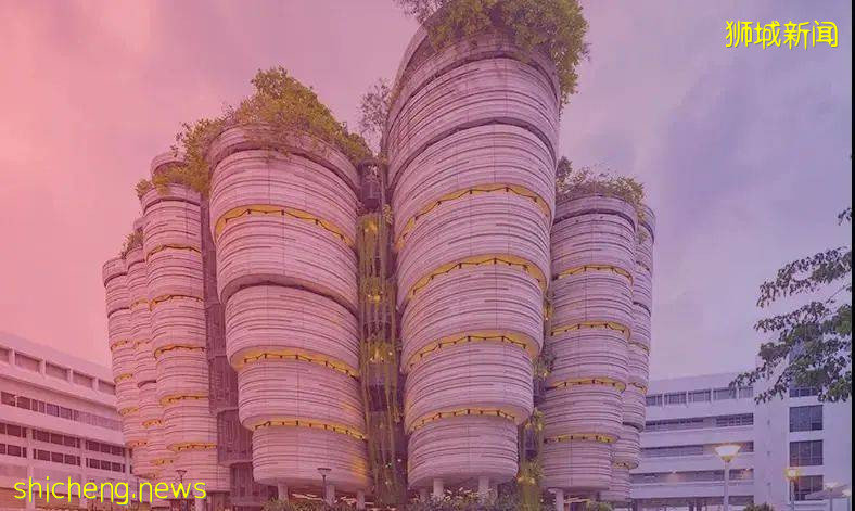 【新加坡留學】22年新加坡碩士春季入學末班車來了！錯過再等一年