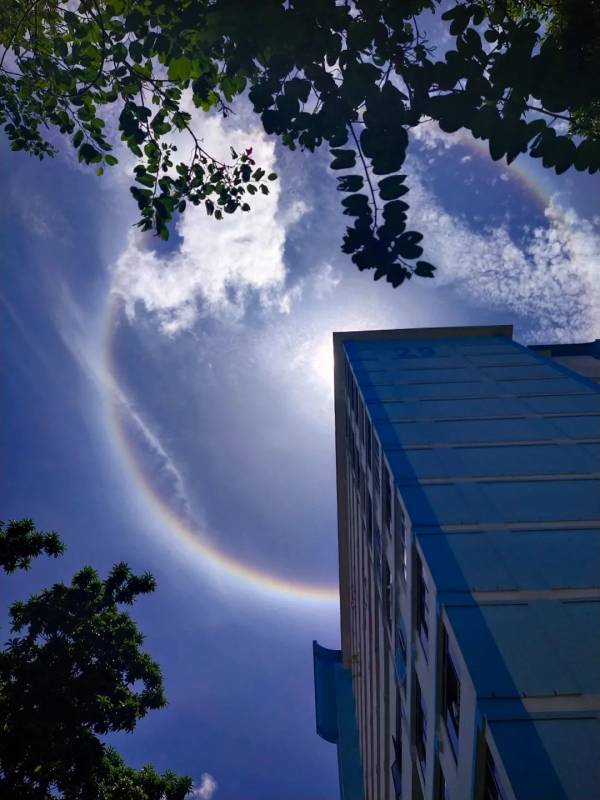 新加坡驚現絕美日暈彩虹光環，李顯龍總理、王瑞傑副總理也轉發了