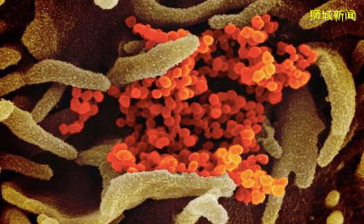 家人群爆了！“新加坡登革熱疫情史上最嚴重” 登上微博熱搜