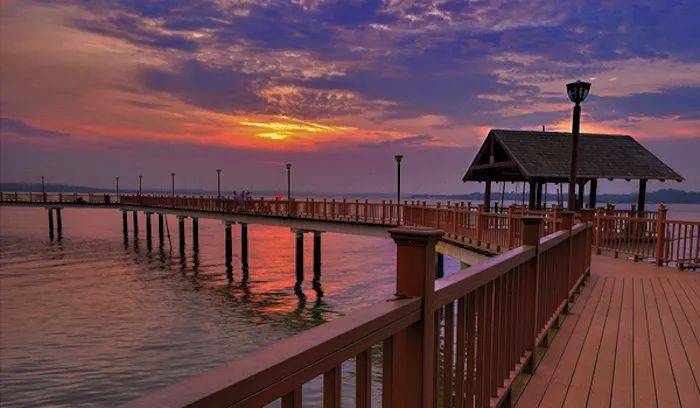 还在网红景点打卡你就OUT了探索新加坡10大隐秘遛娃地