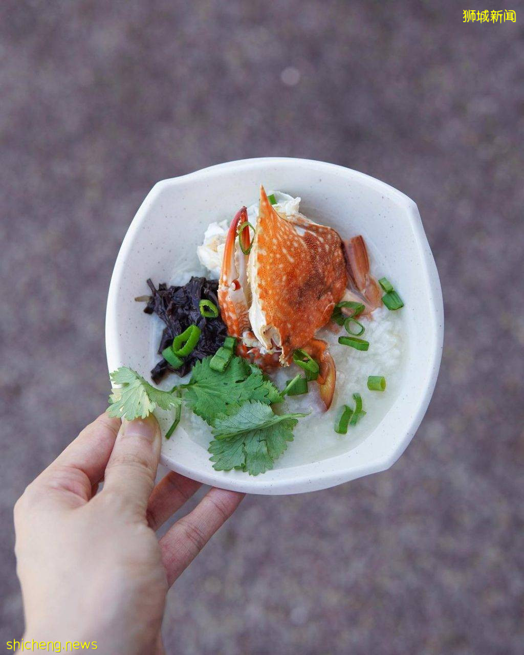 老字号海鲜餐馆🏅️抗疫大放送!螃蟹,小龙虾泡饭粥等特色主食只要S$9🤤螃蟹小龙虾买一送一