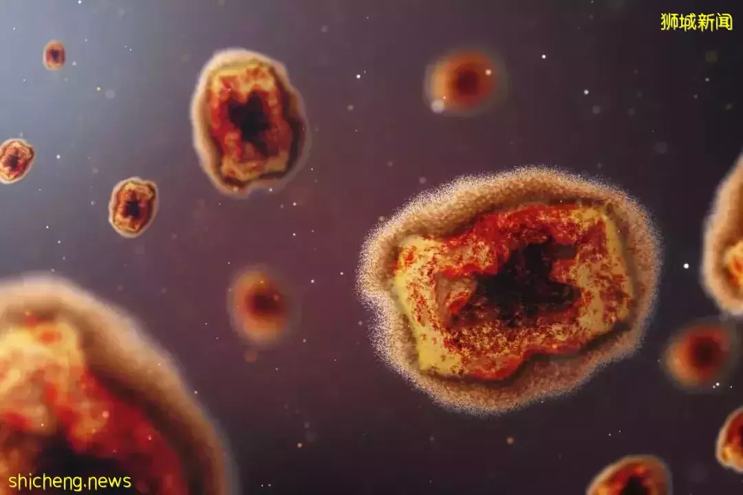 抗疫小組部長確診!首個新加坡公民感染猴痘!醫院呼籲