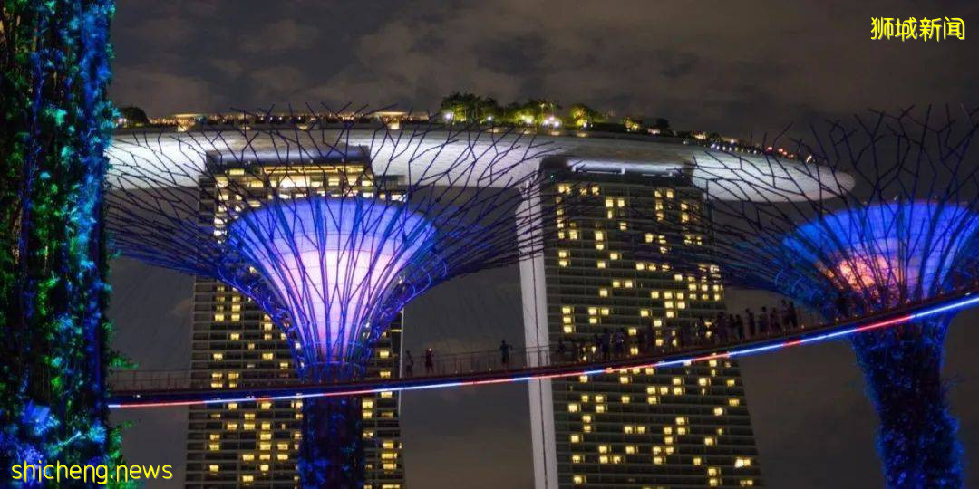 手把手教你申請VTL免隔離入境新加坡