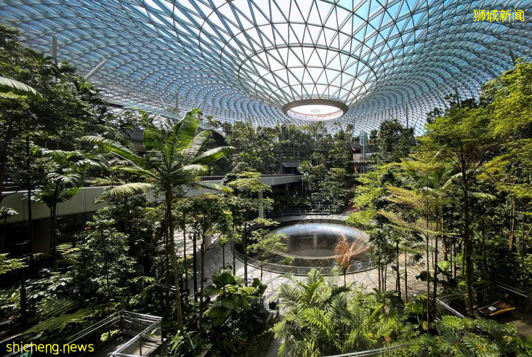 新加坡學校分批開學！李顯龍總理發文，邊境政策調整