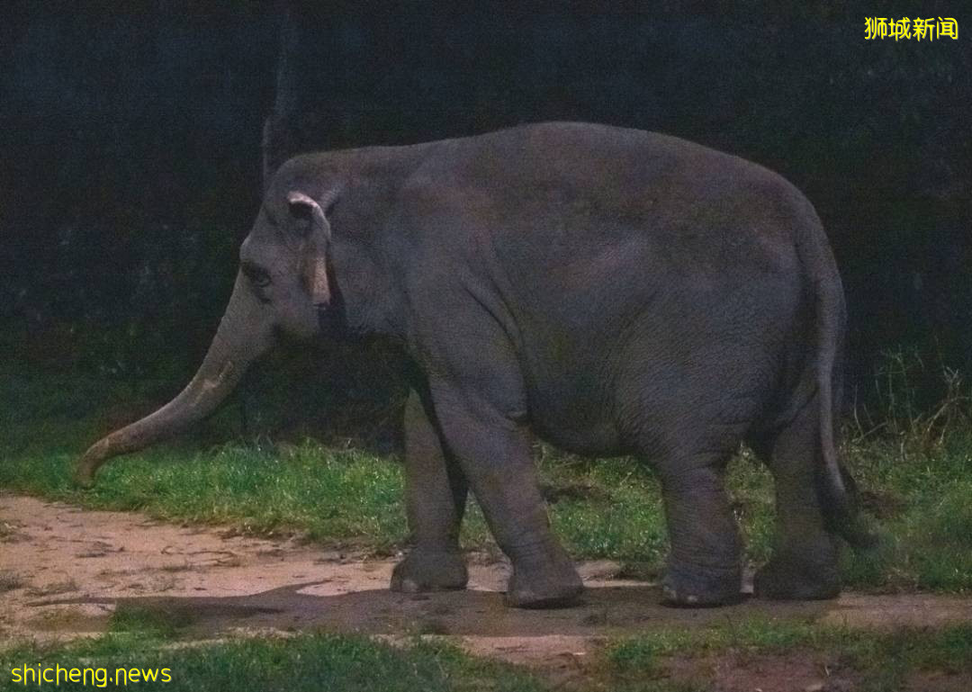 走遍世界 狮城的独特魅力 新加坡