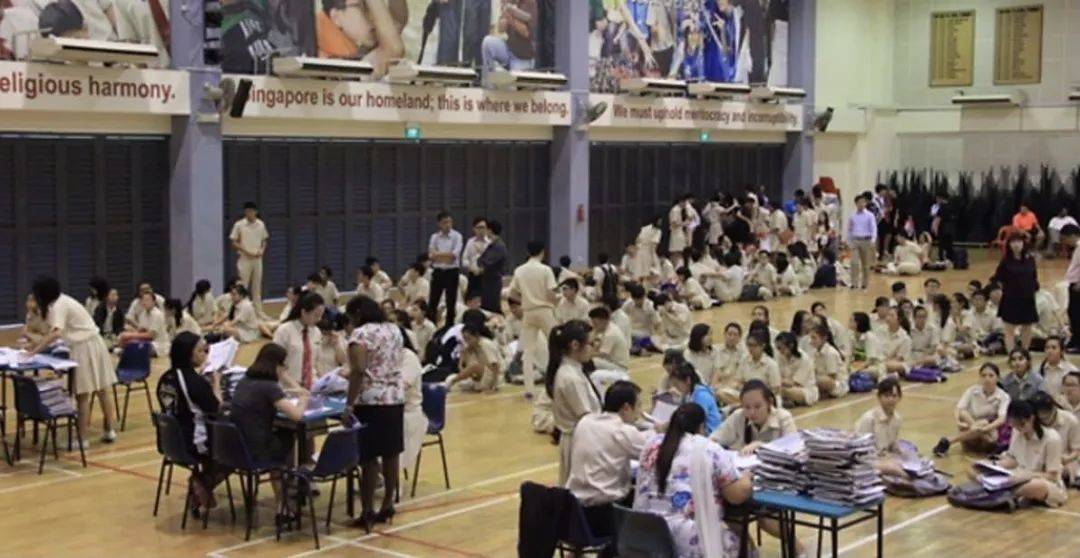 一文解析新加坡O水准！想要留学的娃们看过来