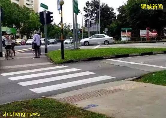 鬼畜!新加坡罚款“惊”的鸡过马路都得看绿灯