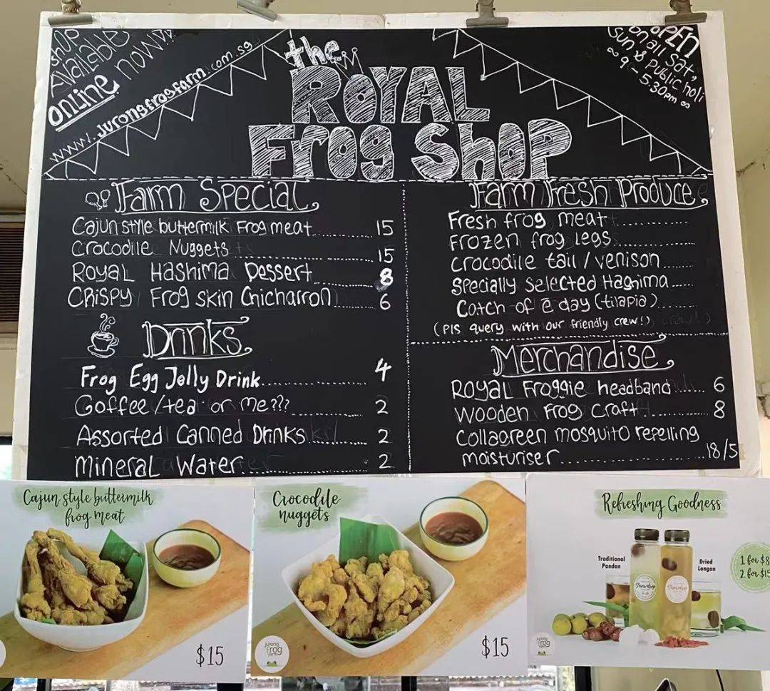 餵羊、擠奶、了解青蛙生長過程,新加坡的農場這麽牛