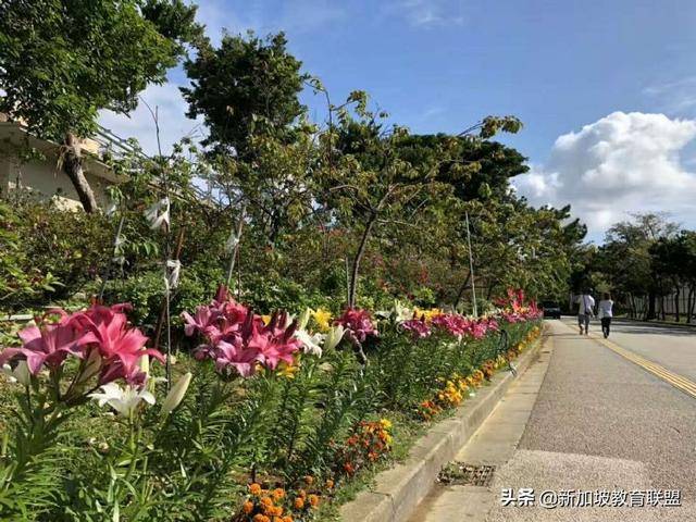 留学生活注意事项之新加坡留学生活准则