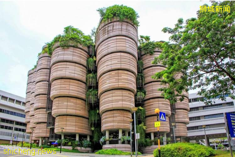 新加坡國立大學再登亞洲第一大學榜首，水獺家族都跑來慶賀，要本科學曆的節奏