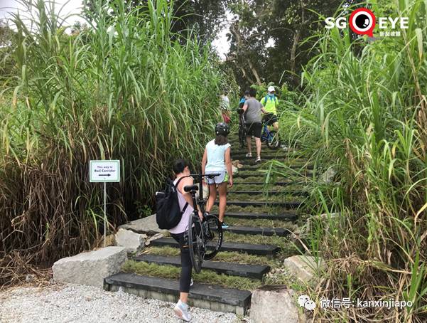 昨天小長假人山人海，武吉知馬老鐵路成新景點！前生今世大揭秘