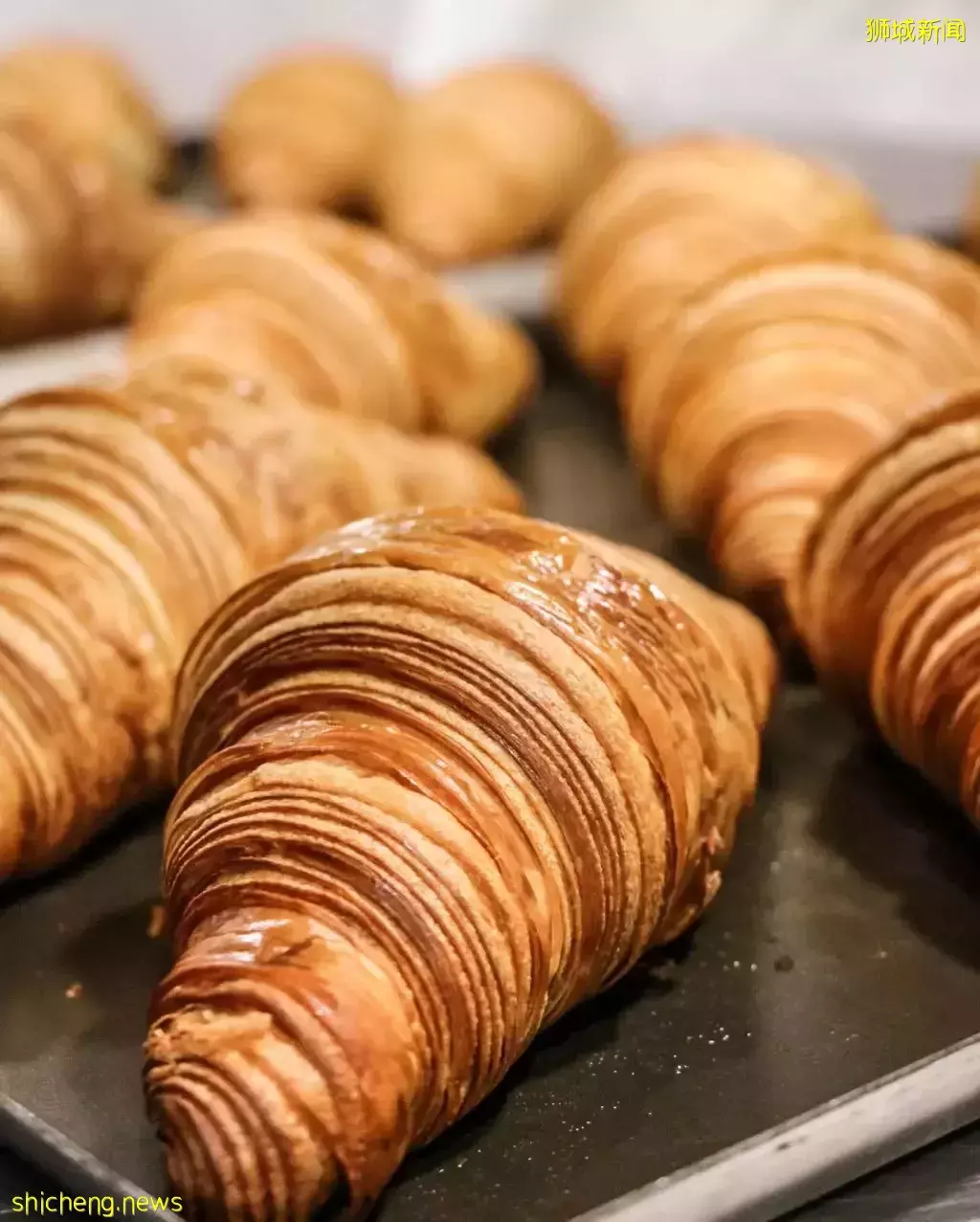 Tiong Bahru Bakery快閃店@Raffles City！免費get牛角包&冷飲