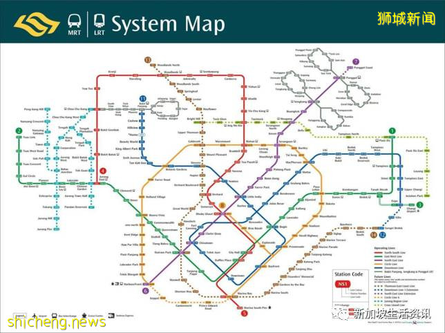 在新加坡買車,你得先有擁車證