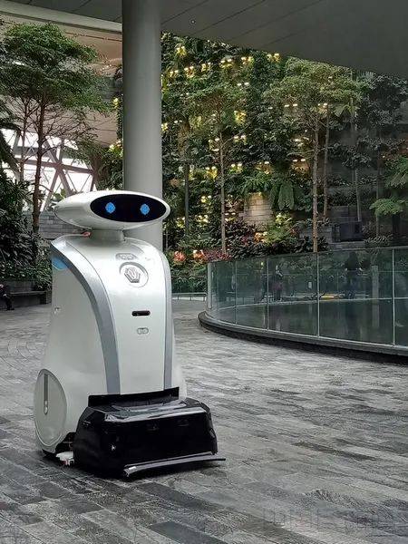 新加坡樟宜機場有一群“多才多藝”的機器人