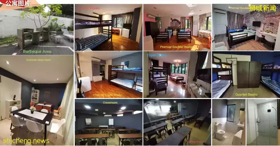 公寓專欄 PSB（City校區）周邊優質房源推薦