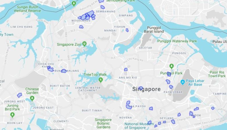 新加坡骨痛热症死亡人数创12年新高！