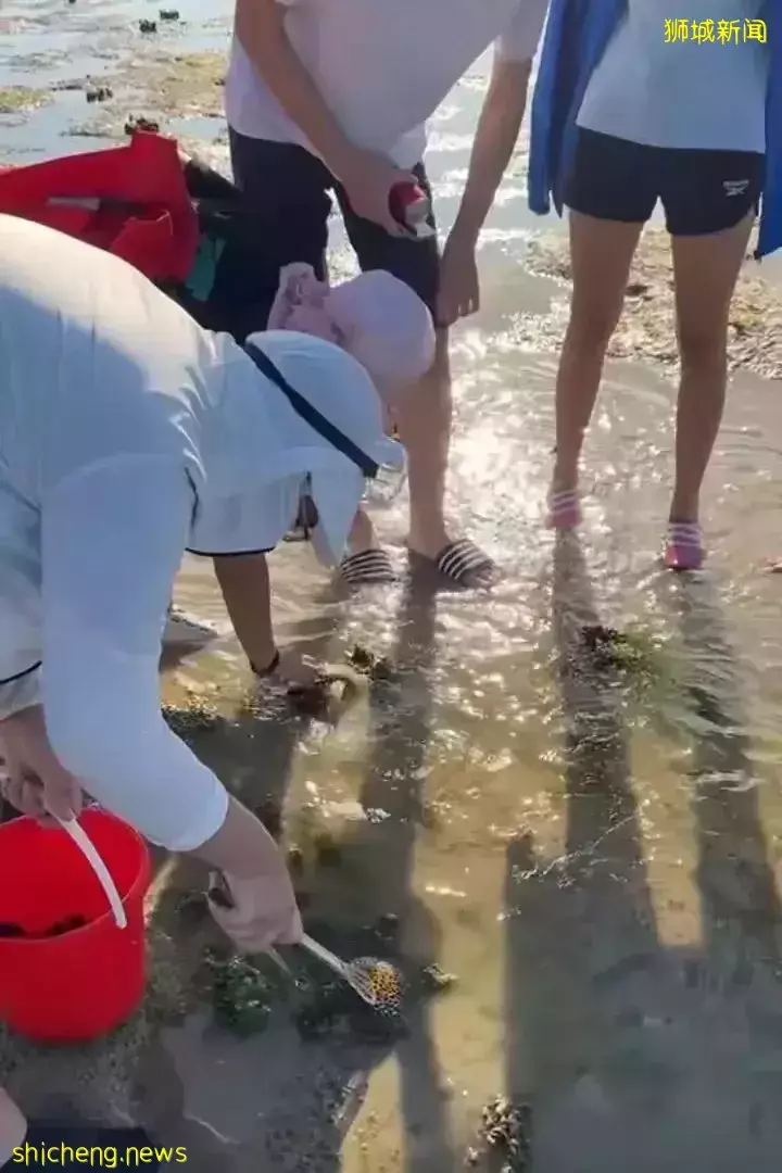 周末时光—魔鬼岛赶海