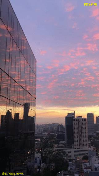 什麽是新加坡？盤點那些你不知道的新加坡知識!