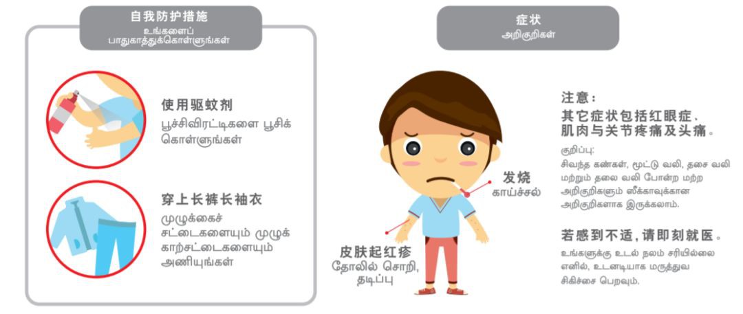 又两人因骨痛热症死亡！6000感染者比去年暴增一倍