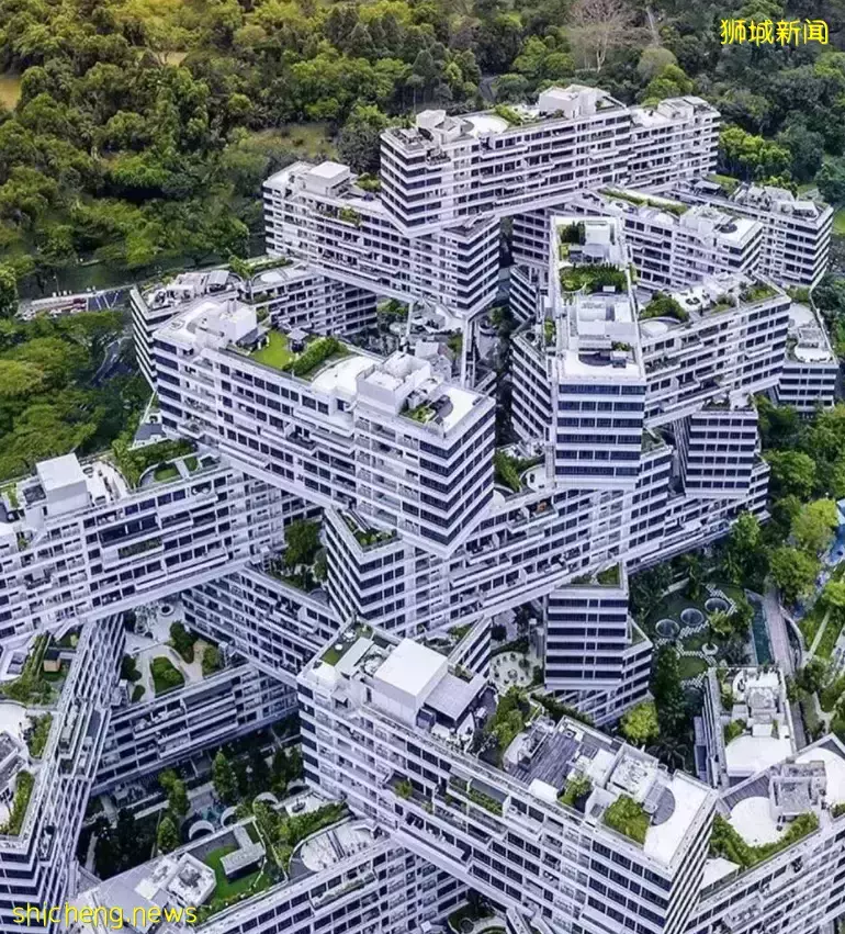 几十张图带你了解别样的新加坡