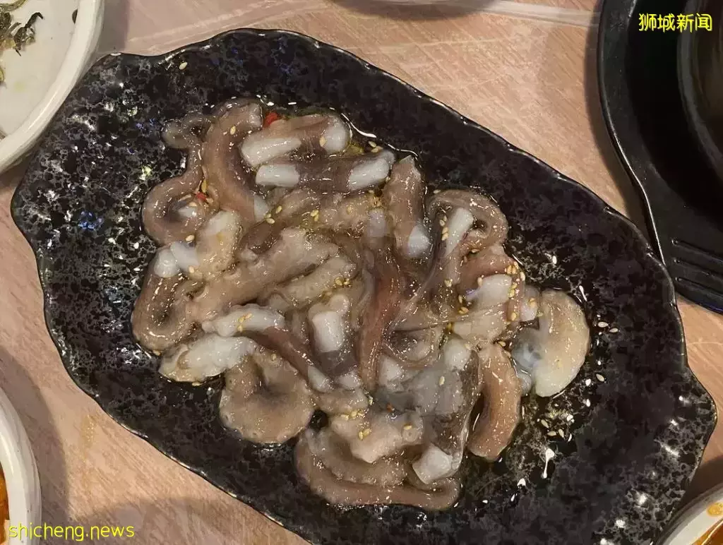鮮活章魚生著吃！正宗韓式料理餐廳 Pohang Seafood 帶你感受前所未有的味蕾體驗 👅 夠膽就來戰