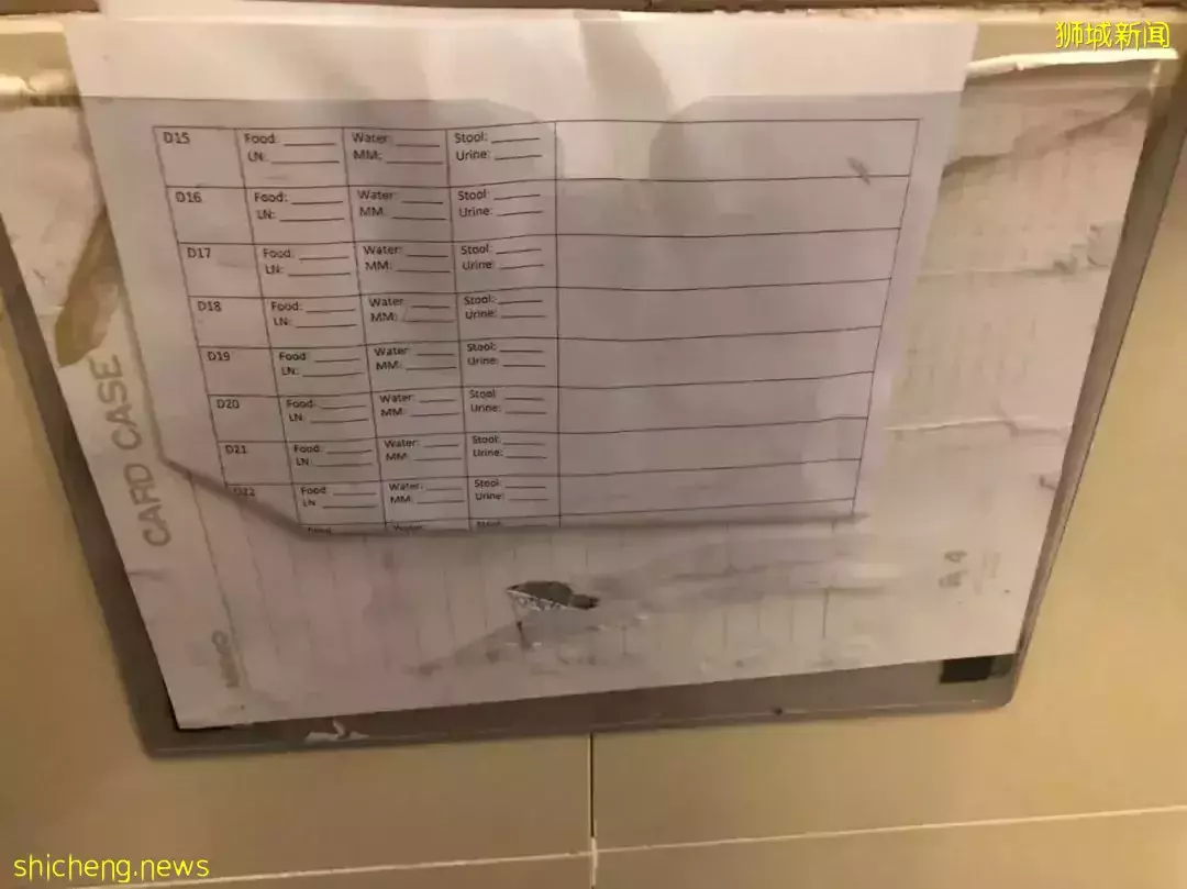 耗时6个月,隔离30天,我的宝贝终于来新加坡跟我团聚了