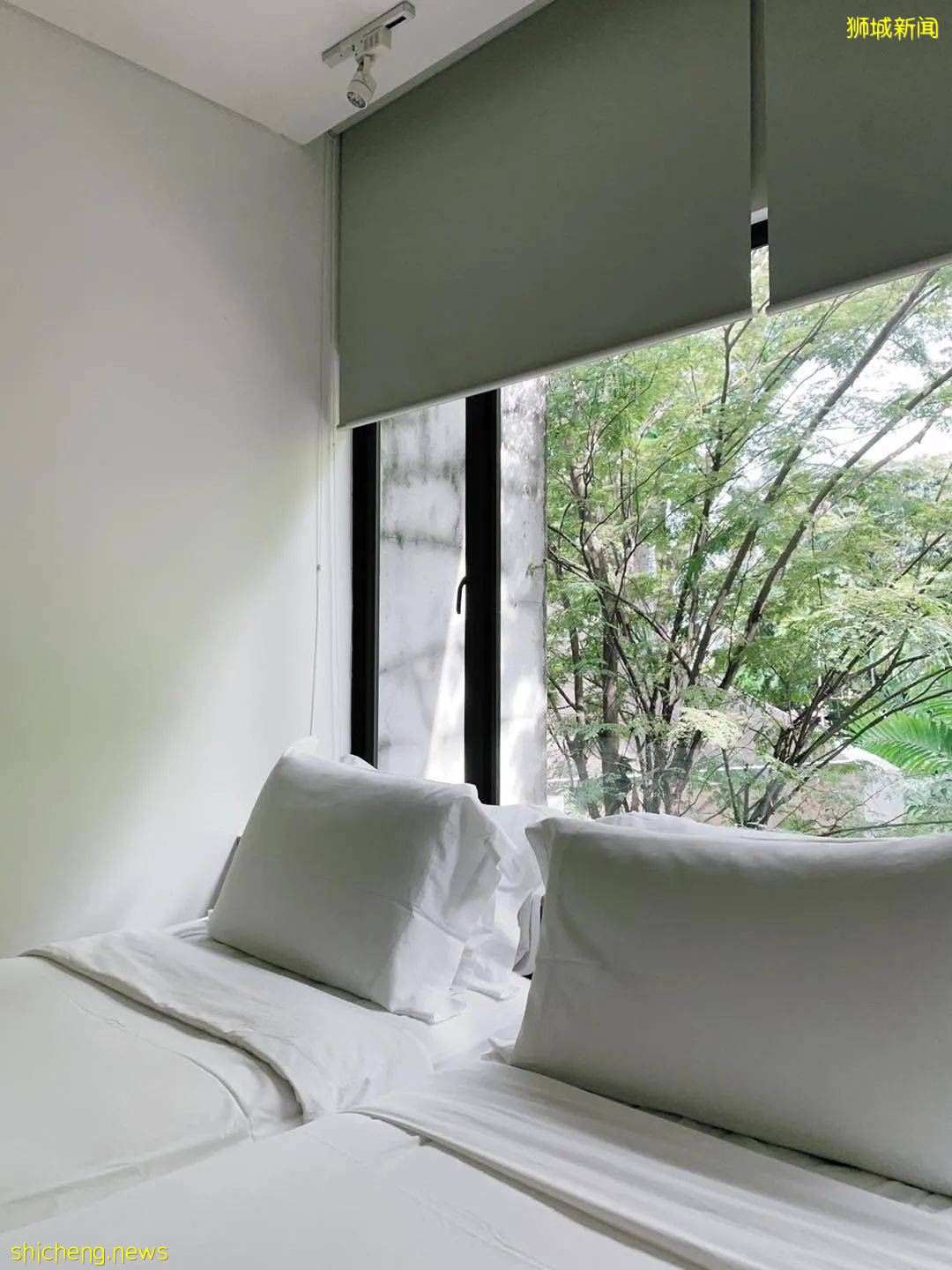 新加坡7 11有關東煮啦！蕭敬騰奶茶店1 for 1，名表5折、女鞋特價