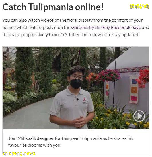 新加坡滨海湾花园郁金香花展绚丽登场!带你穿越到哈萨克!去游牧,去流浪