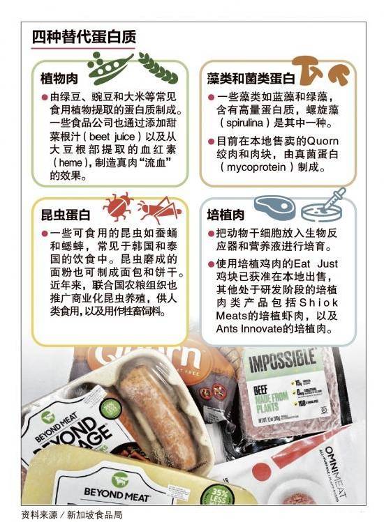 采集活雞細胞制成，新加坡成爲全球首個批准售賣培植肉國家