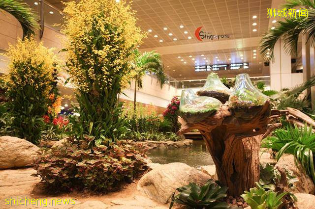 谁说机场一定无聊,新加坡机场到底有多好玩